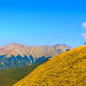 Gli Aristogatti Campo Tizzoro
